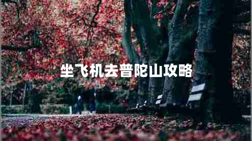 坐飞机去普陀山攻略