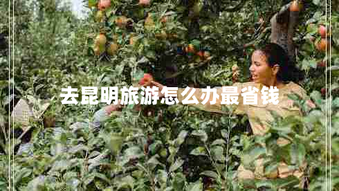 去昆明旅游怎么办最省钱