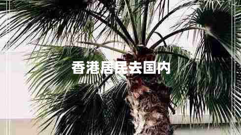 香港居民去国内