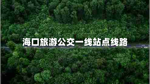 海口旅游公交一线站点线路
