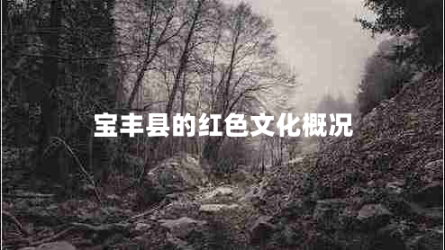 宝丰县的红色文化概况