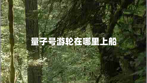 量子号游轮在哪里上船
