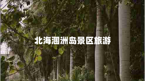 北海涠洲岛景区旅游