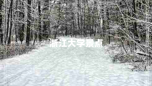 浙江大学景点