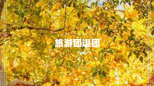 旅游团退团