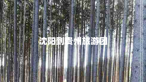 沈阳到贵州旅游团 沈阳到贵州旅游团