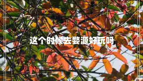 这个时候去婺源好玩吗
