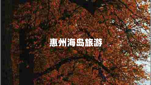 惠州海岛旅游