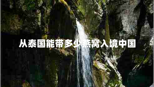 从泰国能带多少燕窝入境中国