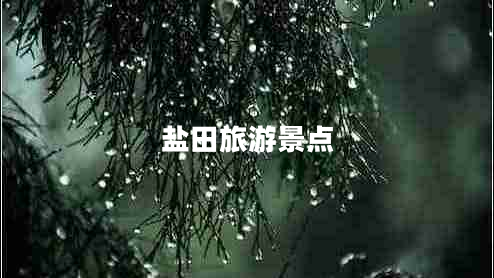 盐田旅游景点