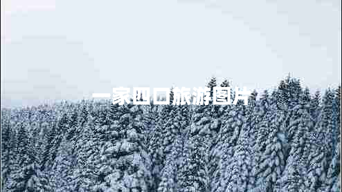 一家四口旅游图片