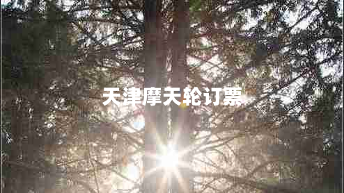 天津摩天轮订票