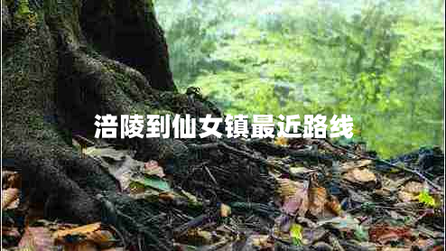 涪陵到仙女镇最近路线