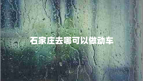 石家庄去哪可以做动车