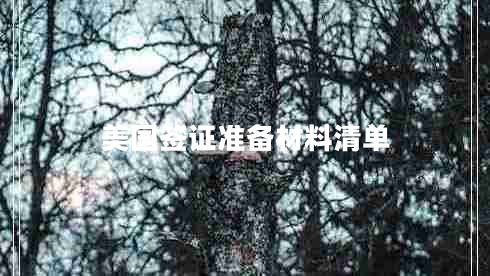 美国签证准备材料清单