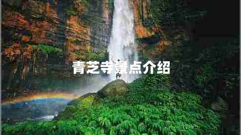 青芝寺景点介绍