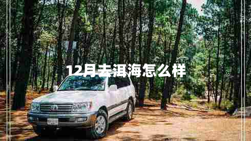 12月去洱海怎么样
