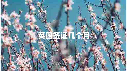 英国签证几个月