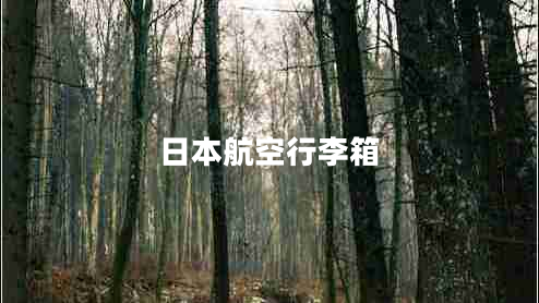 日本航空行李箱 日本航空行李箱