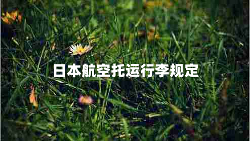 日本航空托运行李规定 日本航空托运行李规定