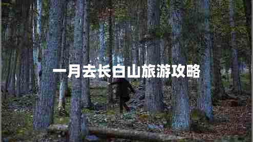 一月去长白山旅游攻略