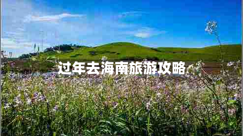 过年去海南旅游攻略