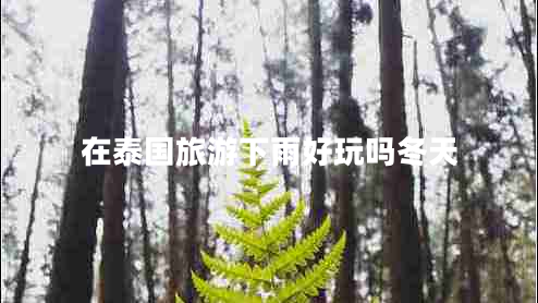 在泰国旅游下雨好玩吗冬天