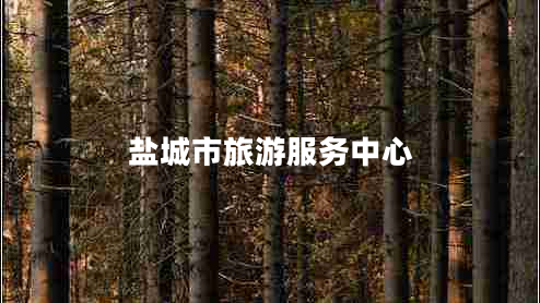 盐城市旅游服务中心