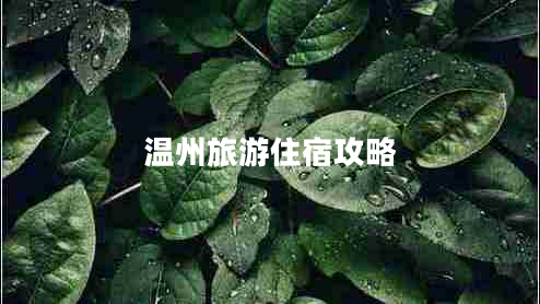 温州旅游住宿攻略