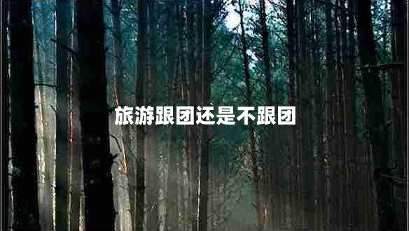 旅游跟团还是不跟团