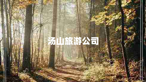 汤山旅游公司
