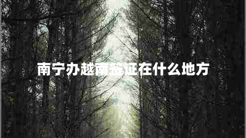 南宁办越南签证在什么地方