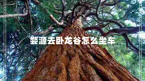 婺源去卧龙谷怎么坐车