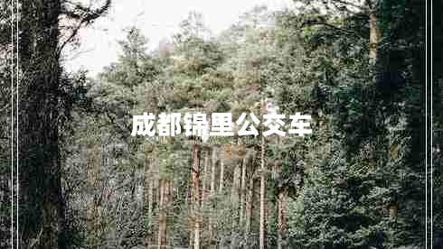 成都锦里公交车