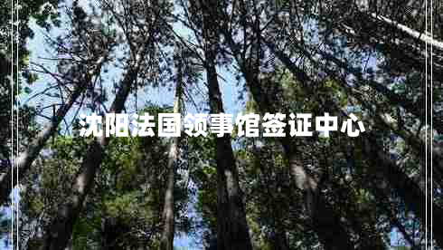 沈阳法国领事馆签证中心