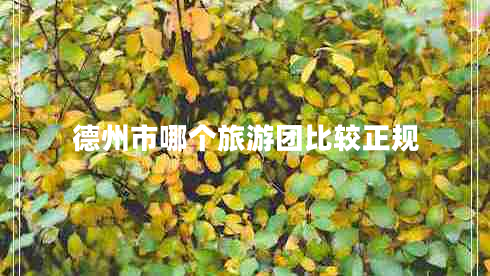 德州市哪个旅游团比较正规