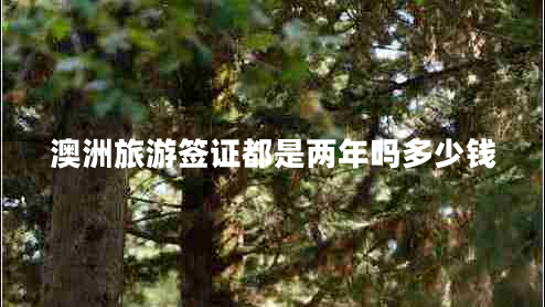 澳洲旅游签证都是两年吗多少钱