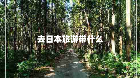 去日本旅游带什么