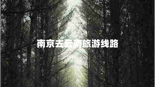 南京去云南旅游线路