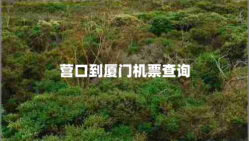 营口到厦门机票查询