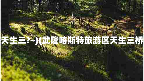 天生三?~)(武隆喀斯特旅游区天生三桥