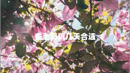 去上海玩几天合适