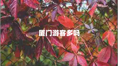 厦门游客多吗
