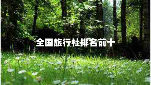 全国旅行社排名前十