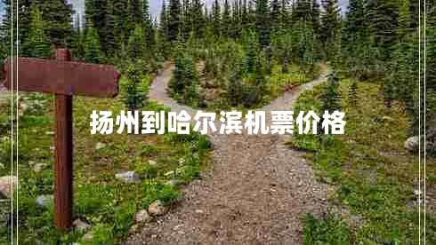 扬州到哈尔滨机票价格