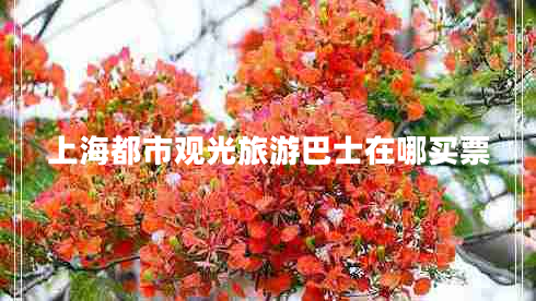 上海都市观光旅游巴士在哪买票