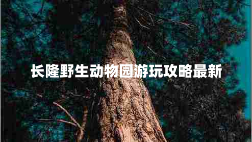 长隆野生动物园游玩攻略最新
