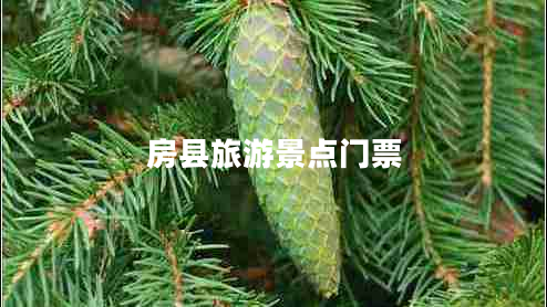 房县旅游景点门票