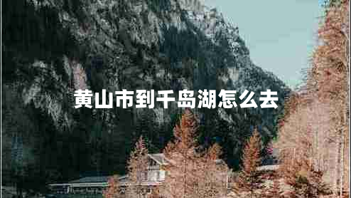 黄山市到千岛湖怎么去