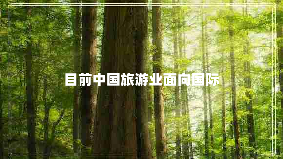目前中国旅游业面向国际